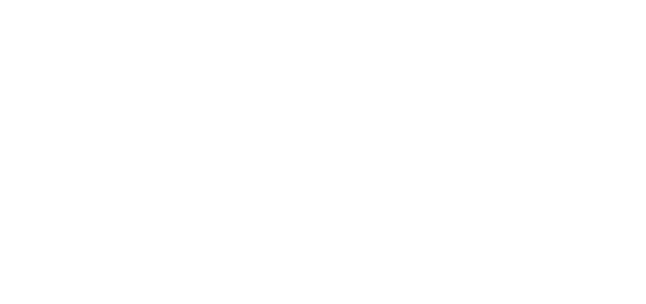 BDV Associés